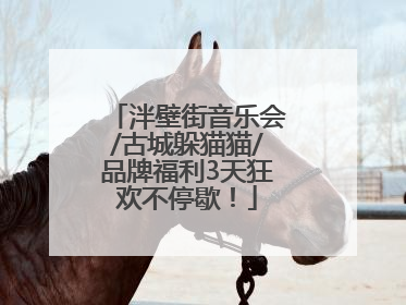 泮壁街音乐会/古城躲猫猫/品牌福利3天狂欢不停歇！