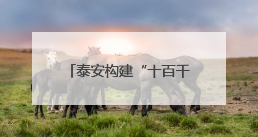 泰安构建“十百千万”企业梯队，推动工业企业向数智化转型2.0版升级