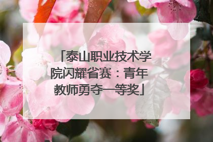泰山职业技术学院闪耀省赛：青年教师勇夺一等奖