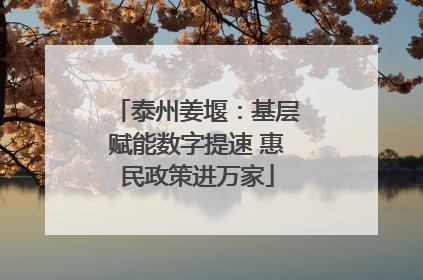 泰州姜堰：基层赋能数字提速 惠民政策进万家