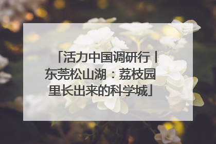 活力中国调研行丨东莞松山湖：荔枝园里长出来的科学城
