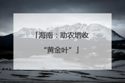 海南：助农增收 “黄金叶”