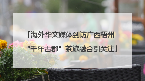 海外华文媒体到访广西梧州 “千年古郡”茶旅融合引关注