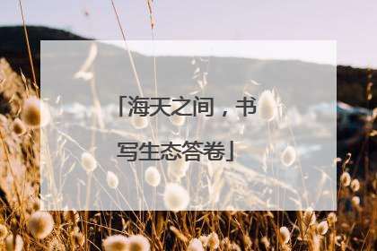 海天之间，书写生态答卷