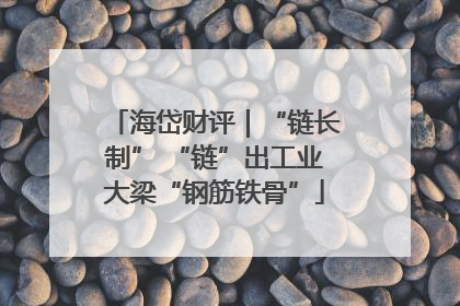 海岱财评｜“链长制” “链”出工业大梁“钢筋铁骨”