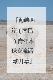 海峡两岸（南昌）青年木球交流活动开幕