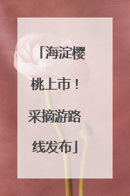 海淀樱桃上市！采摘游路线发布