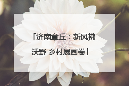 济南章丘：新风拂沃野 乡村展画卷