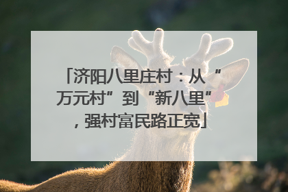 济阳八里庄村：从“万元村”到“新八里”，强村富民路正宽