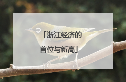 浙江经济的首位与新高