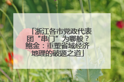 浙江各市党政代表团“串门”为哪般？鲍金：重塑省域经济地理的破题之道