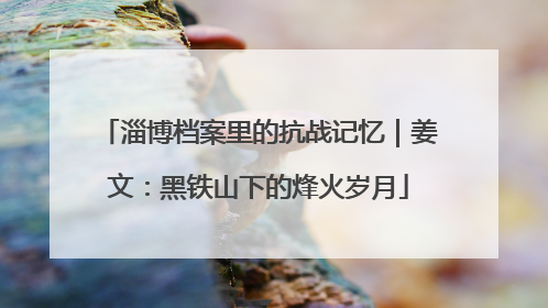 淄博档案里的抗战记忆｜姜文：黑铁山下的烽火岁月