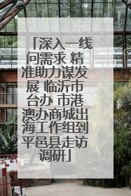 深入一线问需求 精准助力谋发展 临沂市台办 市港澳办商城出海工作组到平邑县走访调研