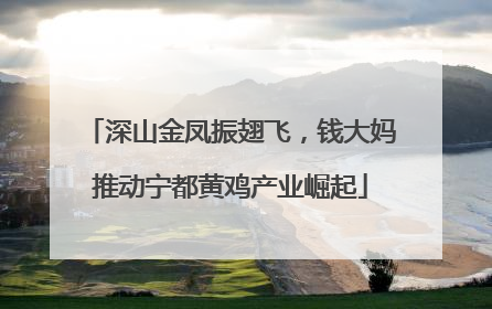 深山金凤振翅飞，钱大妈推动宁都黄鸡产业崛起