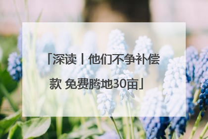 深读丨他们不争补偿款 免费腾地30亩