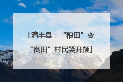 清丰县：“粮田”变“良田”村民笑开颜
