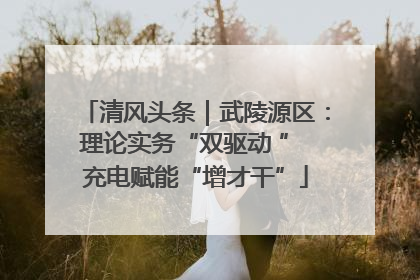 清风头条｜武陵源区：理论实务“双驱动 ” 充电赋能“增才干”