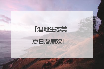湿地生态美 夏日麋鹿欢