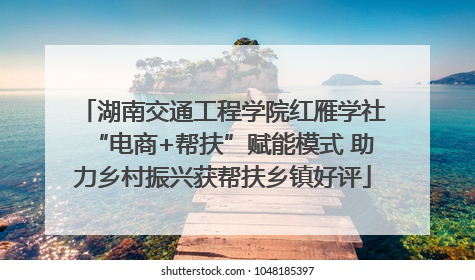 湖南交通工程学院红雁学社“电商+帮扶”赋能模式 助力乡村振兴获帮扶乡镇好评