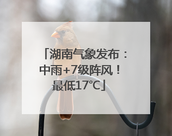 湖南气象发布：中雨+7级阵风！最低17℃