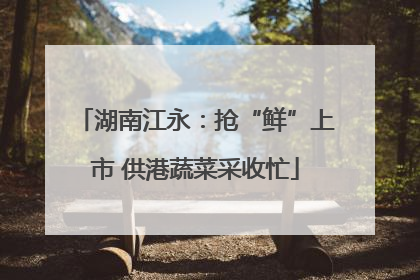 湖南江永：抢“鲜”上市 供港蔬菜采收忙