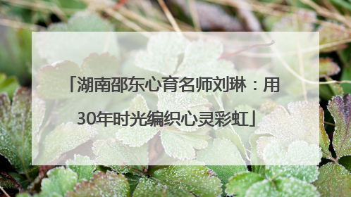 湖南邵东心育名师刘琳：用30年时光编织心灵彩虹