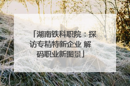 湖南铁科职院：探访专精特新企业 解码职业新图景