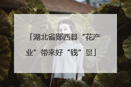 湖北省郧西县“花产业”带来好“钱”景