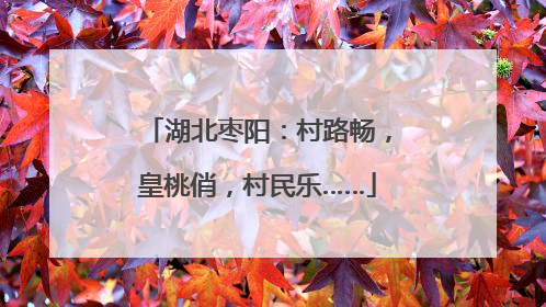 湖北枣阳：村路畅，皇桃俏，村民乐……