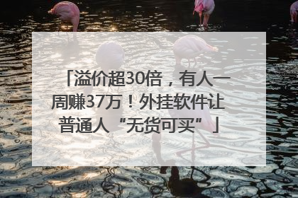 溢价超30倍，有人一周赚37万！外挂软件让普通人“无货可买”