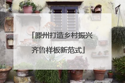 滕州打造乡村振兴齐鲁样板新范式