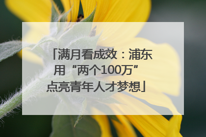 满月看成效：浦东用“两个100万”点亮青年人才梦想