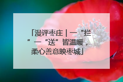 漫评枣庄｜一“拦”一“送”皆温暖，柔心善意映枣城