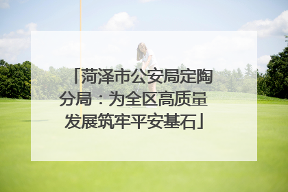 菏泽市公安局定陶分局：为全区高质量发展筑牢平安基石
