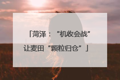 菏泽：“机收会战”让麦田“颗粒归仓”