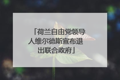 荷兰自由党领导人维尔德斯宣布退出联合政府