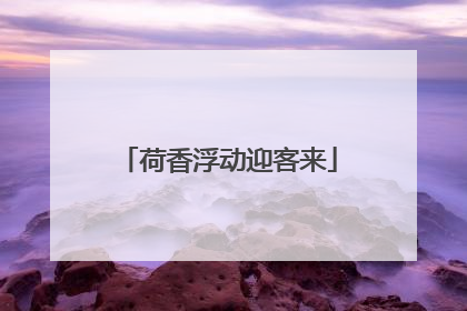 荷香浮动迎客来