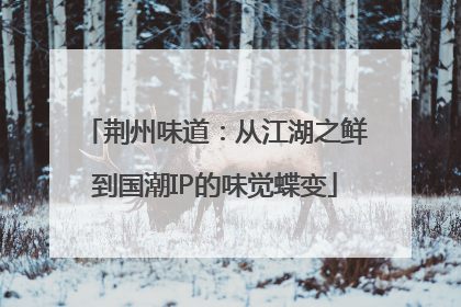 荆州味道：从江湖之鲜到国潮IP的味觉蝶变