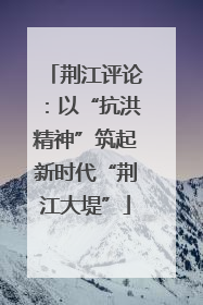 荆江评论：以“抗洪精神”筑起新时代“荆江大堤”