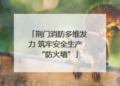 荆门消防多维发力 筑牢安全生产“防火墙”