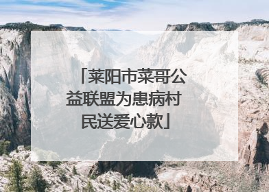 莱阳市菜哥公益联盟为患病村民送爱心款