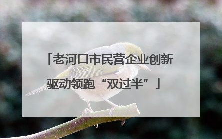 老河口市民营企业创新驱动领跑“双过半”