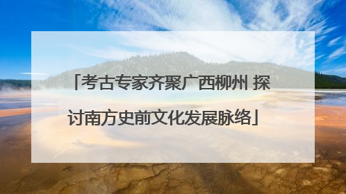 考古专家齐聚广西柳州 探讨南方史前文化发展脉络