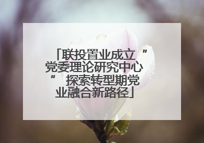联投置业成立“党委理论研究中心” 探索转型期党业融合新路径