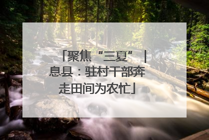 聚焦“三夏”｜息县：驻村干部奔走田间为农忙