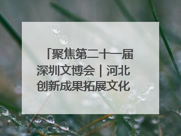聚焦第二十一届深圳文博会｜河北创新成果拓展文化产业“朋友圈”