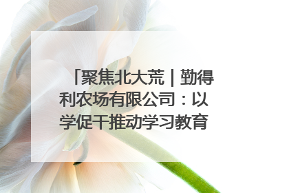 聚焦北大荒｜勤得利农场有限公司：以学促干推动学习教育“升温提速”