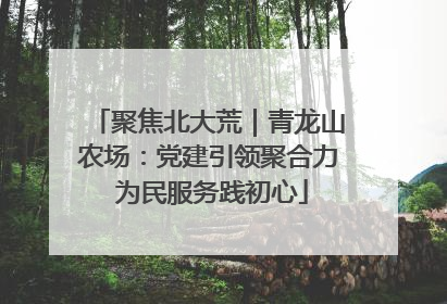 聚焦北大荒｜青龙山农场：党建引领聚合力 为民服务践初心