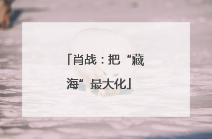 肖战：把“藏海”最大化
