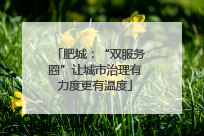 肥城：“双服务圈”让城市治理有力度更有温度